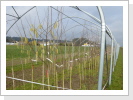 Ende Februar 2014 Ende Februar 2014
