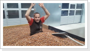 Die Ernte ist mit 600kg im 4.Standjahr erwartungsgemäss ausgefallen. Die Ernte ist mit 600kg im 4.Standjahr erwartungsgemäss ausgefallen.