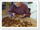 Die erste Ernte! Die erste Ernte!