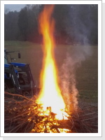 14.2.2017 Auch diesen Winter sind wieder einige Bäume eingegangen, was ein grosses Feuer gab!